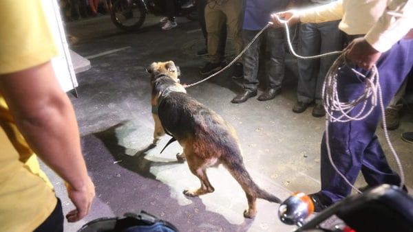 প্রবল ধ্বস্তাধস্তি'র পর গুলি করে খুন দম্পতিকে? যা জানাচ্ছেন কলকাতা পুলিশ কমিশনার