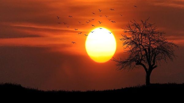 বাড়িতে অর্থকষ্ট–অশান্তি!‌‌ সূর্যাস্তের পর এই কাজগুলি করছেন না তো?‌