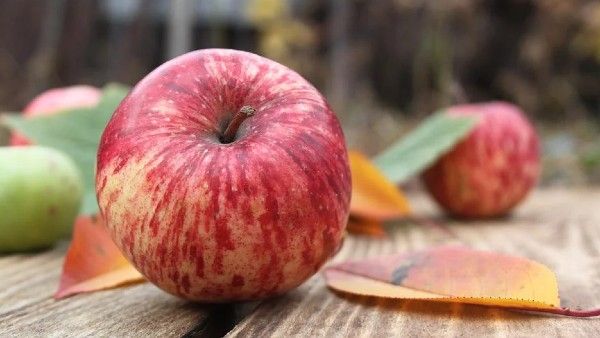 রক্তে শর্করার পরিমাণ ঠিক রাখতে কী ডায়েট মেনে চলবেন?