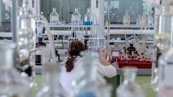 ৭০০ কেজির নিষিদ্ধ 'meow meow' ড্রাগ বাজেয়াপ্ত! আনুমানিক মূল্য ১,৪০০ কোটি