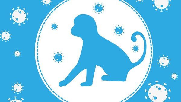 সতর্ক স্বাস্থ্য মন্ত্রক, দেশের ১৫টি পরীক্ষাগারে মাঙ্কি পক্স সনাক্তকরণের সিদ্ধান্ত আইসিএমআরের