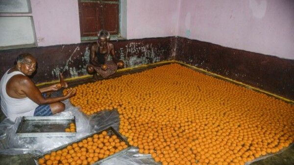 রাষ্ট্রপতি নির্বাচনে জয় নিশ্চিত! আতসবাজি থেকে আদিবাসী নাচ, মিষ্টি দিয়ে বরণ করতে প্রস্তুত দ্রৌপদী মুর্মুর গ্রাম