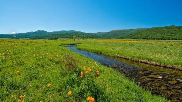 পুজোর ছুটিতেই ঘুরে আসুন উত্তর ভারতের এই জায়গাগুলিতে