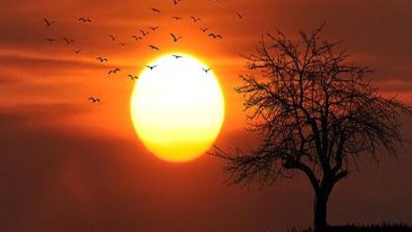 দীর্ঘ ৬ বছর ধরে চলে সূর্যের কঠোর মহাদশা, জানুন মুক্তি পাওয়ার সহজ উপায়