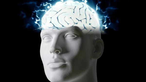 করোনা ভাইরাসের মধ্যেই আতঙ্ক বাড়াচ্ছে Brain-Eating Amoeba! কতটা ভয়ঙ্কর এই ভাইরাস?