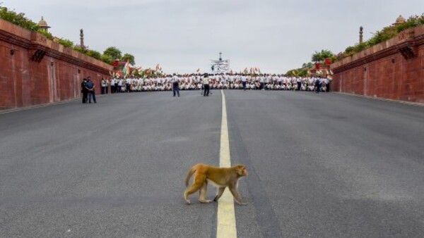 মহিলাদের জন্য সব থেকে বিপজ্জনক দিল্লি, দেশের নিরাপদতম কলকাতা! রিপোর্ট এনসিআরবির