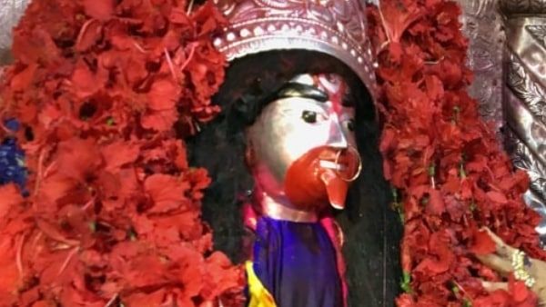 শোল মাছ থেকে ফ্রায়েড রাইস, কৌশিকী অমাবস্যায় তারাপীঠে পুজোয় কী কী ভোগ দেওয়া হয় জানুন