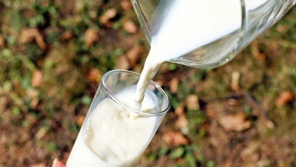 আমূলের পরে এবার মাদার ডেয়ারি, দুধের দাম বাড়াল লিটার প্রতি ২টাকা