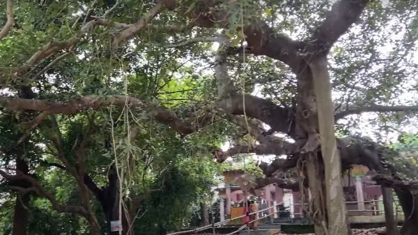 জানেন কোথায় আছে বেহুলা-লক্ষীন্দরের বাসর ঘর? পুজোর চার দিনের ছুটিতে চলে আসুন চম্পকনগরে