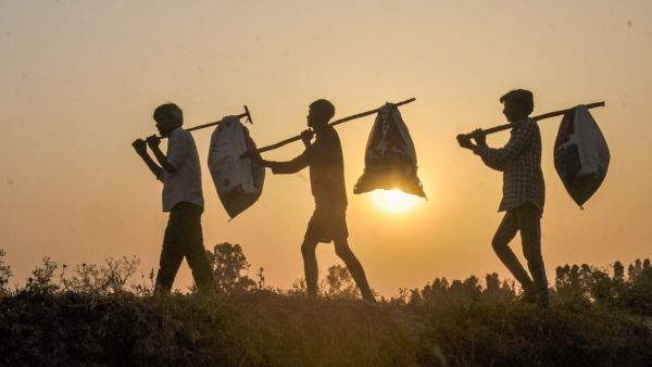 দিনমজুরদের মধ্যে আত্মহত্যার প্রবণতা বাড়ছে, উদ্বেগজনক রিপোর্ট NCRB-র