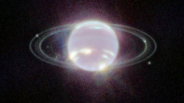 নেপচুনের বলয় শনির মতোই! বিস্ময় ছবি প্রকাশে চমক নাসার ওয়েব টেলিস্কোপের