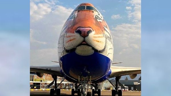 ৭০ বছরের খরা কাটিয়ে দেশে ফিরছে চিতা, স্বাগত জানাতে নামবিয়ায় পাঠানো হল বিশেষ বিমান