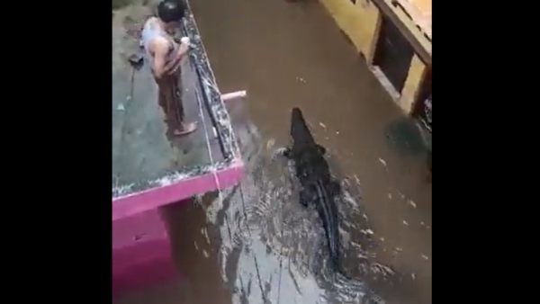 বেঙ্গালুরুর জলমগ্ন রাস্তায় ভেসে বেড়াচ্ছে কুমীর! প্রকৃত সত্য কি জানুন এখানে