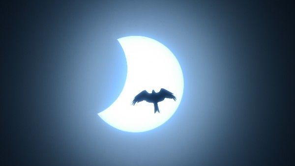 আংশিক সূর্যগ্রহণ কি, এই গ্রহণের কারণে কোথায় সরকারি ছুটি ঘোষণা করা হয়েছে?