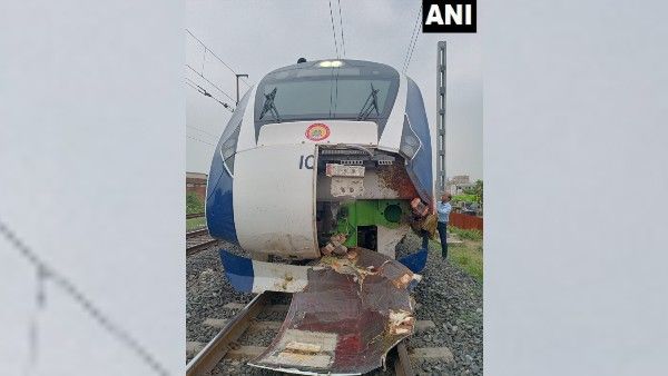 হঠাৎ লাইনে তিন থেকে চারটে মোষ! বড়সড় বিপদ এড়াল Vande Bharat Express