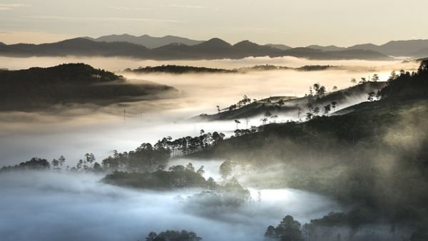 নববর্ষে খুব কম খরচে ঘুরে আসুন বিদেশে, রইল সেই ঠিকানা