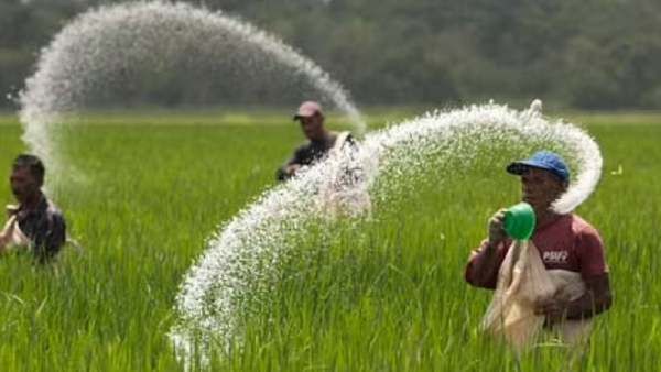 গুজরাত-হিমাচলে ভোটের আগে কৃষক 'বন্ধু'! সারে ভর্তুকি প্রায় দ্বিগুণ বাড়াল মোদী সরকার