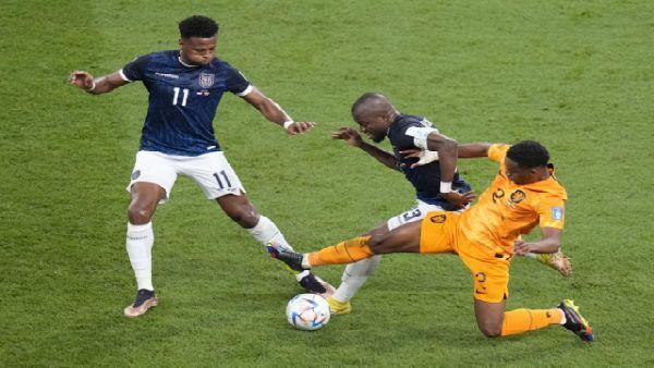 ফিফা বিশ্বকাপে ইকুয়েডর-নেদারল্যান্ডস ম্যাচ ড্র, কাতার প্রথম দেশ হিসেবে ছিটকে গেল
