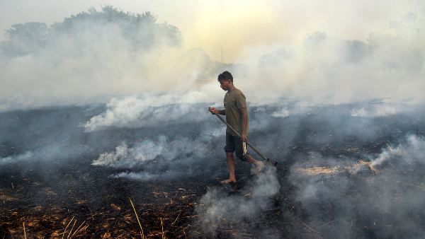 মহাকাশ থেকে দিল্লি-এনসিআরের দূষণের মাত্রা নাসার ক্যামেরায়, ভয় ধরাবে উপগ্রহ-চিত্র