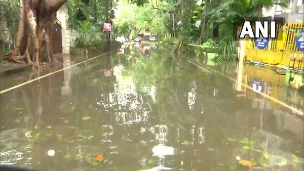 Cyclone Mandous: ঘূর্ণিঝড় মান্দোসের প্রভাবে উপড়ে গেল গাছ! জলমগ্ন চেন্নাইয়ের বিভিন্ন এলাকা