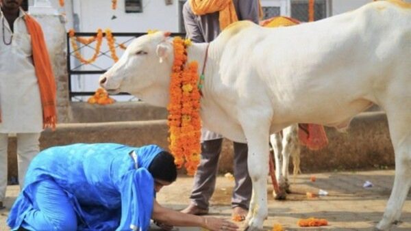 দিলীপ ঘোষের দুধে 'সোনা'র পরে গরু নিয়ে 'কৌতুহলী' পর্যবেক্ষণ মোদী রাজ্যের আদালতের! প্রশ্ন বিভিন্ন মহলে