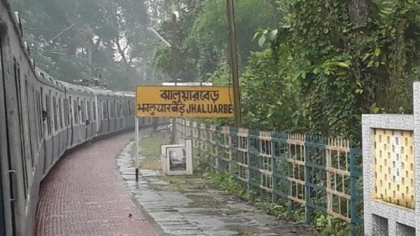 আর যেতে হবে না উত্তরবঙ্গে, কলকাতার কাছেই রয়েছে মিনি ডুয়ার্স, উইকেন্ড ট্যুরের আদর্শ জায়গা