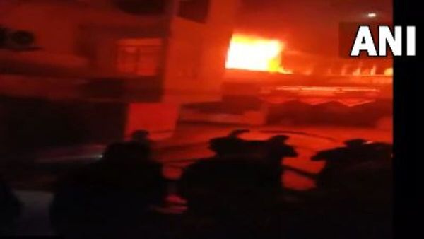 বেসরকারি হাসপাতালে আগুন লেগে মর্মান্তিক পরিণতি! ভিন রাজ্যে বাঙালি চিকিৎসক দম্পতি-সহ ৫ জনের মৃত্যু