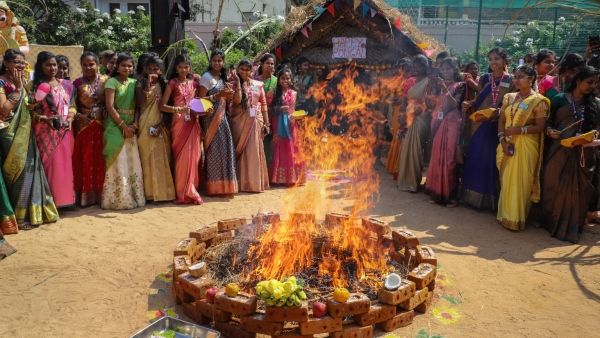 পোঙ্গল কী, জানুন এর ইতিহাস থেকে তাৎপর্য সম্পর্কে