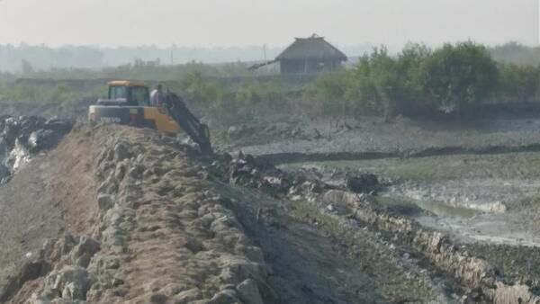 Suvendu Adhikari: ম্যানগ্রোভ উপড়ে মাছচাষের পুকুর করছে তৃণমূল! ভিডিও শেয়ার করে বিস্ফোরক শুভেন্দু অধিকারী