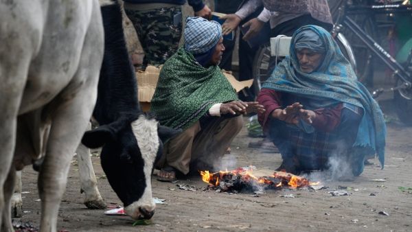 Cold wave: প্রবল ঠান্ডায় ব্রেন স্ট্রোক-হার্ট অ্যাটাক, উত্তর প্রদেশে শৈত্যপ্রবাহের বলি ২৫ জন