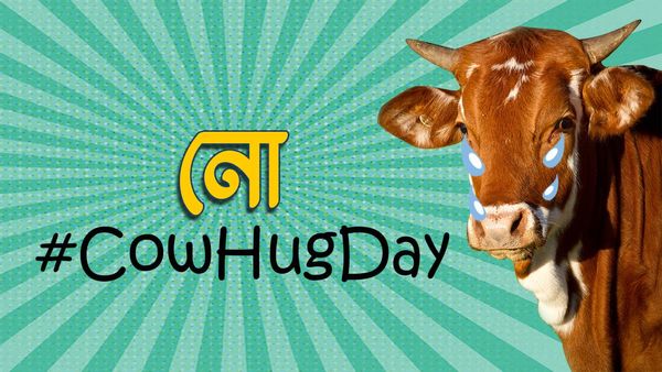 ভ্যালেন্টাইন্স ডে-তে ‘গরু আলিঙ্গন’ নয়! মিমের বন্যার ঠেলায় শেষপর্যন্ত পিছু হটল কেন্দ্র