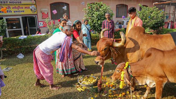 ভ্যালেন্টাইন্স ডে পালন করুন 'গোমাতা আলিঙ্গন দিবস' হিসেবে! পরামর্শ অ্যানিম্যাল ওয়েলফেয়ার বোর্ডের