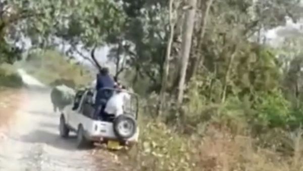 জঙ্গল সাফারিতে গিয়ে কী কাণ্ড , গণ্ডারের তাড়া খেয়ে উল্টে গেল পর্যটকদের জিপসি গাড়ি