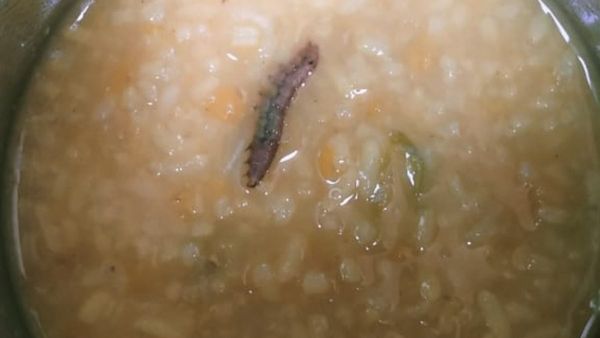 টিকটিকির পর এবার মিড-ডে মিলের খাবারে শুয়োপোকা! গুরুত্বে নারাজ পাঁশকুড়ার তৃণমূল চেয়ারম্যান