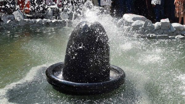 ভোলেবাবার বিশেষ কৃপা পেতে মহা শিবরাত্রির দিন করুন এই কাজগুলি