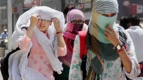 খাওয়া যাবে না হাই প্রোটিন খাবার, এড়াতে হবে চা! তাপপ্রবাহকে সামনে রেখে কী কী স্বাস্থ্য-নির্দেশিকা কেন্দ্রের