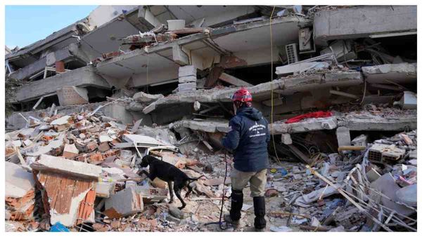 ভূমিকম্পে তুরস্ক-সিরিয়ায় মৃত পেরলো ৩৩ হাজার! চূড়ান্ত সংখ্যা দ্বিগুণ হতে পারে, আশঙ্কা WHO-র