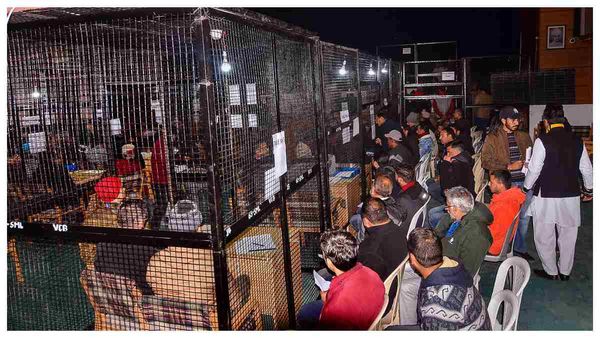 বিধানসভা ভোটের ফল ২০২৩ LIVE: ত্রিপুরা-নাগাল্যান্ড জয় বিজেপি জোটের, মিজোরামও গেরুয়া