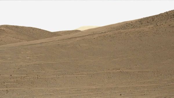 মঙ্গলের আকাশে উড়ছে হেলিকপ্টার, ৪৮তম উড়ানে রোভার রিপজিশনিং-এ সাফল্য নাসার