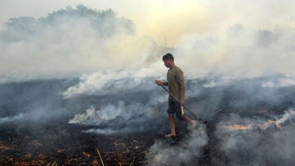 Report: বিশ্বের সবথেকে দূষিত শহর লাহোর! ভারতের শহরগুলির অবস্থা চমকে দেবে