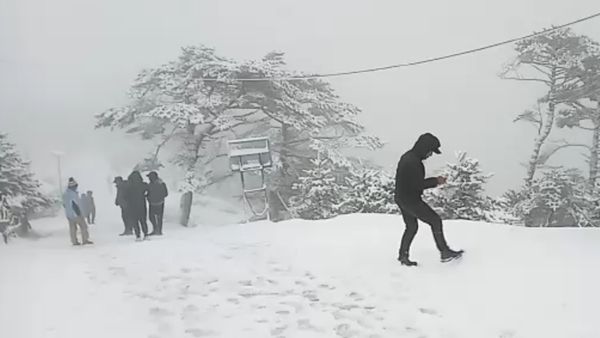 শীতের বিদায়বেলায় দার্জিলিংয়ের সান্দাকফুতে ব্যাপক তুষারপাত, বরফ খেলায় মাতলেন পর্যটকরা