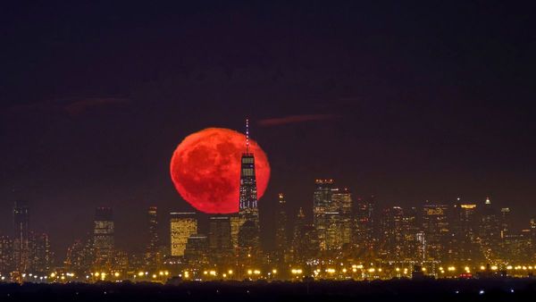 ওয়ার্ল্ড ট্রেন্ড সেন্টার নিয়ে মার্চেই মউ স্বাক্ষর! শিল্প সম্মেলন নিয়ে বড় ঘোষণা মমতার