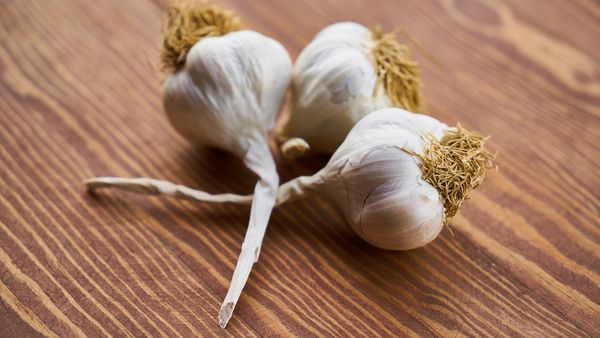 কোলেস্টেরলের মাত্রাকে নিয়ন্ত্রণে রাখতে রোজ এক কোয়া করে রসুন খান