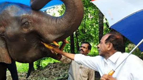 সার্কাসের জনক জেমিনি শঙ্করন ৯৯ বছর বয়সে প্রয়াত, শোকবার্তা কেরলের মুখ্যমন্ত্রীর