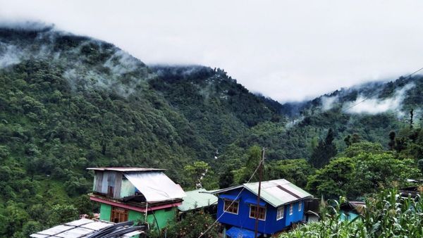 কমলালেবুর বাগান আর তিব্বতী গুম্ফা, প্যাচপ্যাচে গরম থেকে দূরে বেড়িয়ে আসুন এই পাহাড়ি গ্রাম থেকে