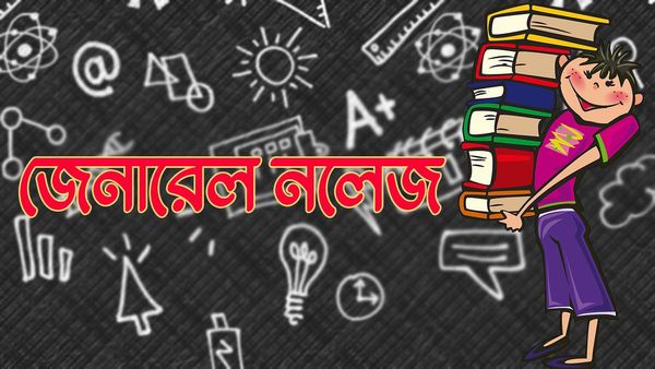 GK Questions: জানেন কোন সমুদ্রের রঙ লাল হয়! উত্তর লুকিয়ে এই প্রতিবেদনেই