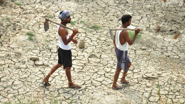 এল নিনোর সম্ভাবনা বাড়ছে এবার, কড়া সতর্কতা জারি ভারতের আবহাওয়া বিভাগের