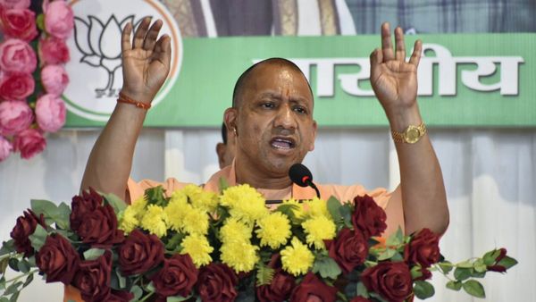 ভবঘুরে গবাদি পশুদের আশ্রয়-রক্ষণাবেক্ষণে পর্যাপ্ত ব্যবস্থা! দুধের উৎপাদন বাড়াতে একাধিক পদক্ষেপ যোগী সরকারের