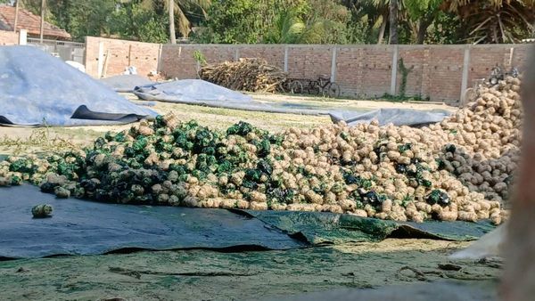 এগরা বিস্ফোরণ কাণ্ডে আরও বাড়ল মৃতের সংখ্যা, আন্দোলনের পথে বাজি বিক্রেতারা