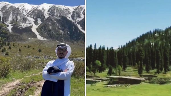 'শান্তিতে বাস করে হিন্দু-মুসলিম-শিখ', আরবের ত্বহার টুইটে 'ভূস্বর্গে'র স্তুতি